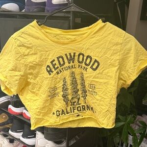 Yellow Redwood National Park T-Shirt